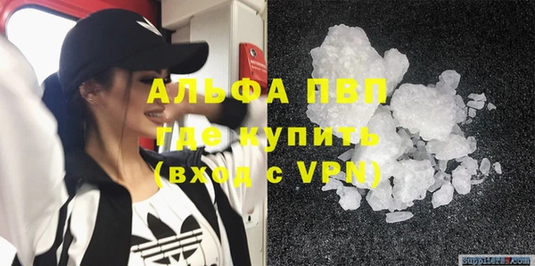 сатива Алзамай